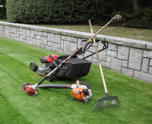 Lawn Care and Maintenance